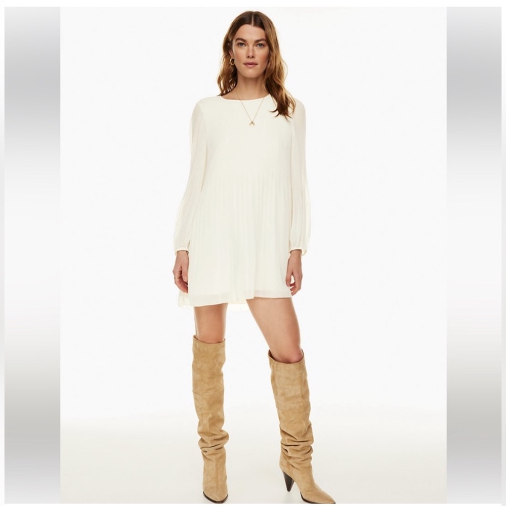 Aritzia Wilfred Daydreamer Mini Dress - Medium